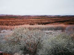 -塞罕坝国家级自然保护区