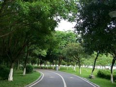 -顺峰山公园