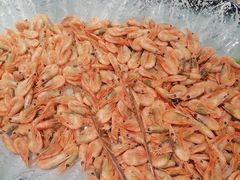 -汉金城海鲜烤肉自助百汇(烟台永旺购物中心店)