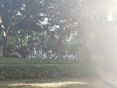 -江头公园