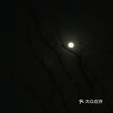月色与美味约会