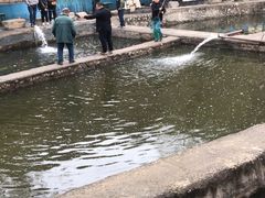 -双新垂钓园