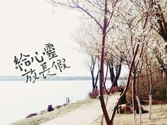 -丁香湖公园
