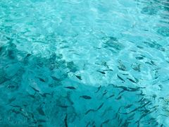 -中央格兰德岛温泉度假酒店 - 全包