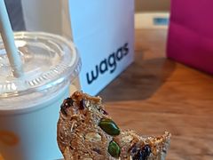 -Wagas沃歌斯(汇智店)