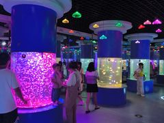 -重庆欢乐海底世界