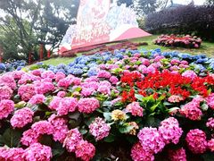 -广州市白云山风景名胜区