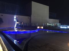 -杜尚rooftop露台酒吧