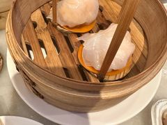 -金鼎轩(方庄天坛店)