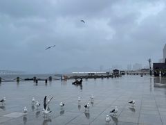 -星海广场