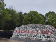 -中国西峡恐龙遗迹园