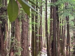 -华农酸奶文化馆