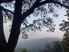 -香山公园