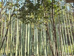 -烟桥古村