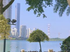 -白鹭洲公园