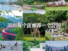 -深圳湾公园(南山区)