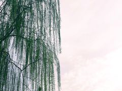 -西安青龙寺遗址景区