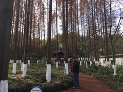 -瀛洲公园
