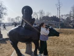 -赵州桥景区