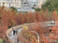 -福道