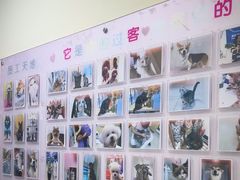 -全心全意连锁动物医院·微创中心·内科急重症·心脏专科(丰管路店)
