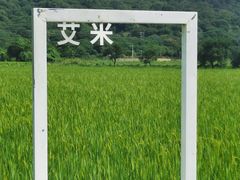 -艾米稻香小镇
