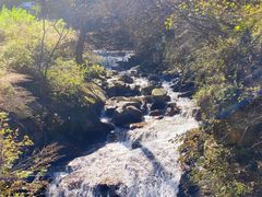 -秦岭终南山世界地质公园翠华山景区