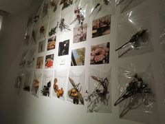 -boundaries籬苑(瑞光创意工厂-贰号院店)