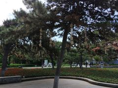 -万泉公园