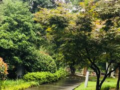 -白马涧龙池景区