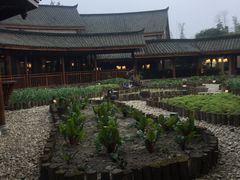 -青城山六善酒店·紫氣園中餐厅