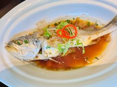 -彩丰楼·中餐厅(国家会展中心上海洲际店)