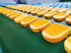 -金陵中学(河西分校)