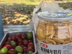-阳澄湖半岛旅游度假区