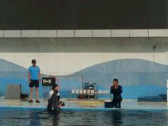 -北戴河圣蓝海洋公园