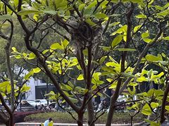 -上海交通大学(闵行校区)