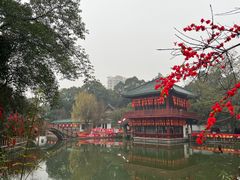 -房湖公园