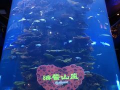 -青岛海底世界-水族馆
