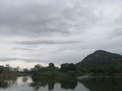 -桃花岛景观公园