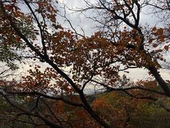 -北京西山国家森林公园