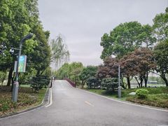 -洋湖国家湿地公园