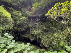 -海口火山口国家地质公园