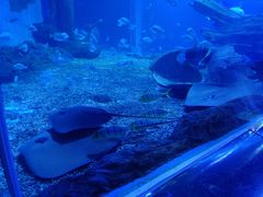 -多彩贵州城极地海洋世界