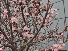 -杉杉奥特莱斯广场(哈尔滨店)