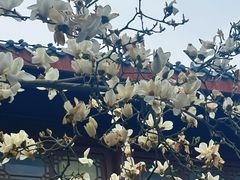 -堤角公园