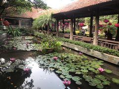 -河内西湖莲花自助餐厅