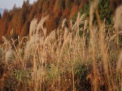 -山王坪喀斯特国家生态公园
