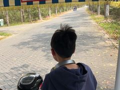 -上海海湾国家森林公园