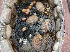 -郑州银基黄帝宫御温泉