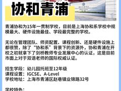 -菠萝国际教育专注Alevel·IGCSE·IB·AP·托福雅思培训辅导(静安校区)